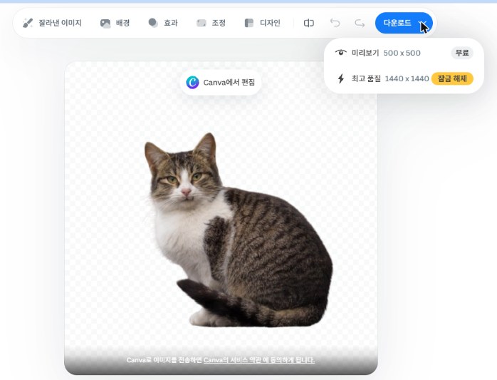 remove.bg 종료 전 고양이 사진 배경 제거 결과와 다운로드 메뉴, 미리보기 500x500 무료, 최고 품질 1440x1440 잠금 해제