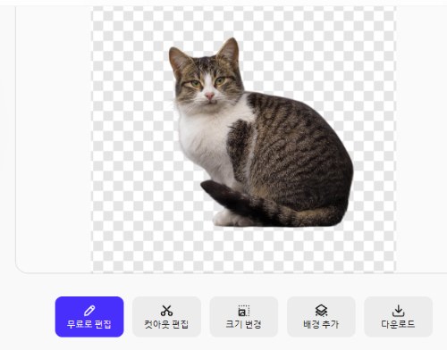 Photoroom 무료 배경 지우기 결과, 고양이 누끼와 무료로 편집, 컷아웃 편집, 크기 변경, 배경 추가, 다운로드 버튼