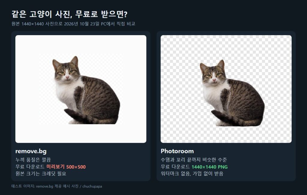 remove.bg 종료 대안 비교, 같은 고양이 사진을 remove.bg와 Photoroom에서 배경 제거한 결과와 무료 다운로드 크기