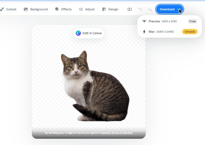 remove.bg cat cutout with the Download menu open: Preview 500 x 500 Free, Max 1440 x 1440 Unlock