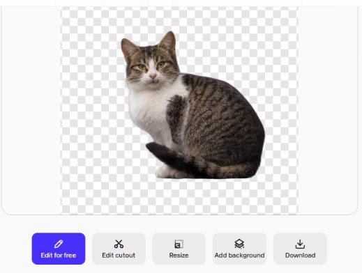Photoroom free background remover result: cat cutout with Edit for free, Edit cutout, Resize, Add background and Download buttons