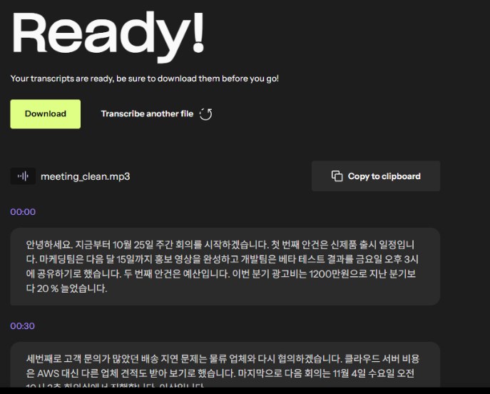 Riverside 무료 음성 텍스트 변환 결과 화면, 깨끗한 회의 음성을 받아 적은 텍스트